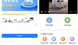 下载快手短视频,捕捉生活瞬间，展现多彩世界