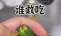 17吃瓜热门爆料正能量,正能量爆料，传递社会美好瞬间