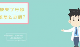 国语动画短视频,穿越时空的奇幻之旅