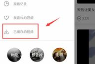 怎么下载短视频到手机,短视频下载到手机的实用方法
