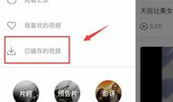 怎么下载短视频到手机,短视频下载到手机的实用方法